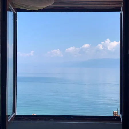 Syzo Pogradec