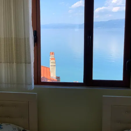 Syzo * Pogradec