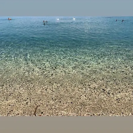 Syzo * Pogradec