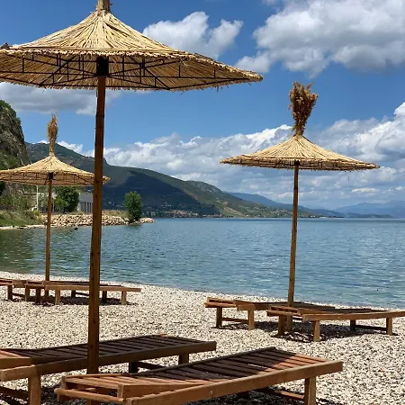 Syzo * Pogradec